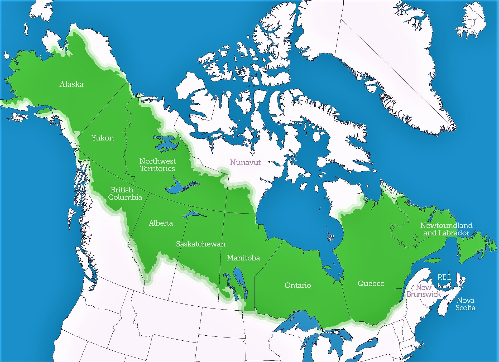 Taking a Closer Look at North